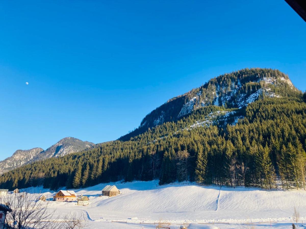 Hallstatt Dachstein Inn Gosau Bagian luar foto