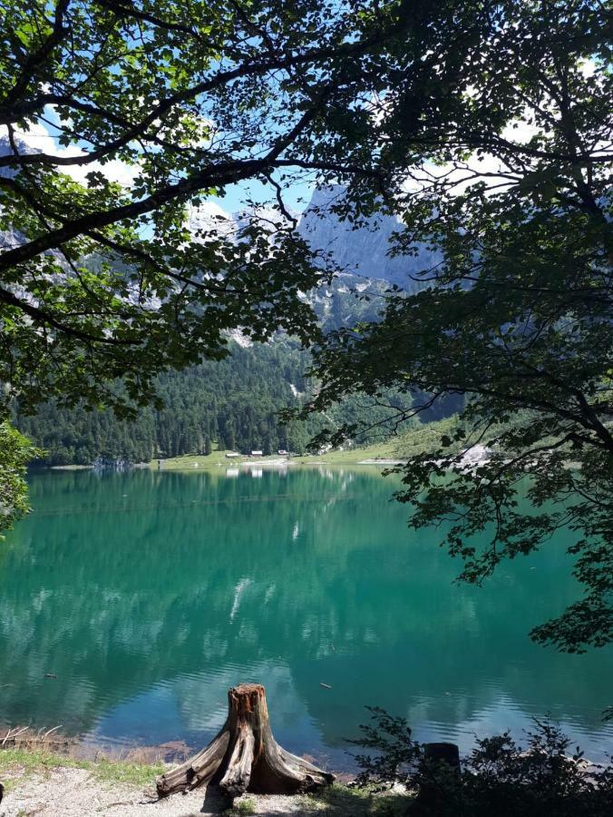 Hallstatt Dachstein Inn Gosau Bagian luar foto