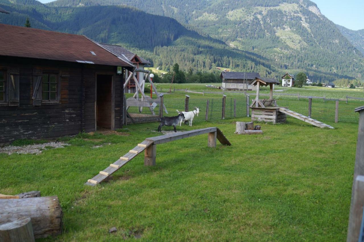 Hallstatt Dachstein Inn Gosau Bagian luar foto